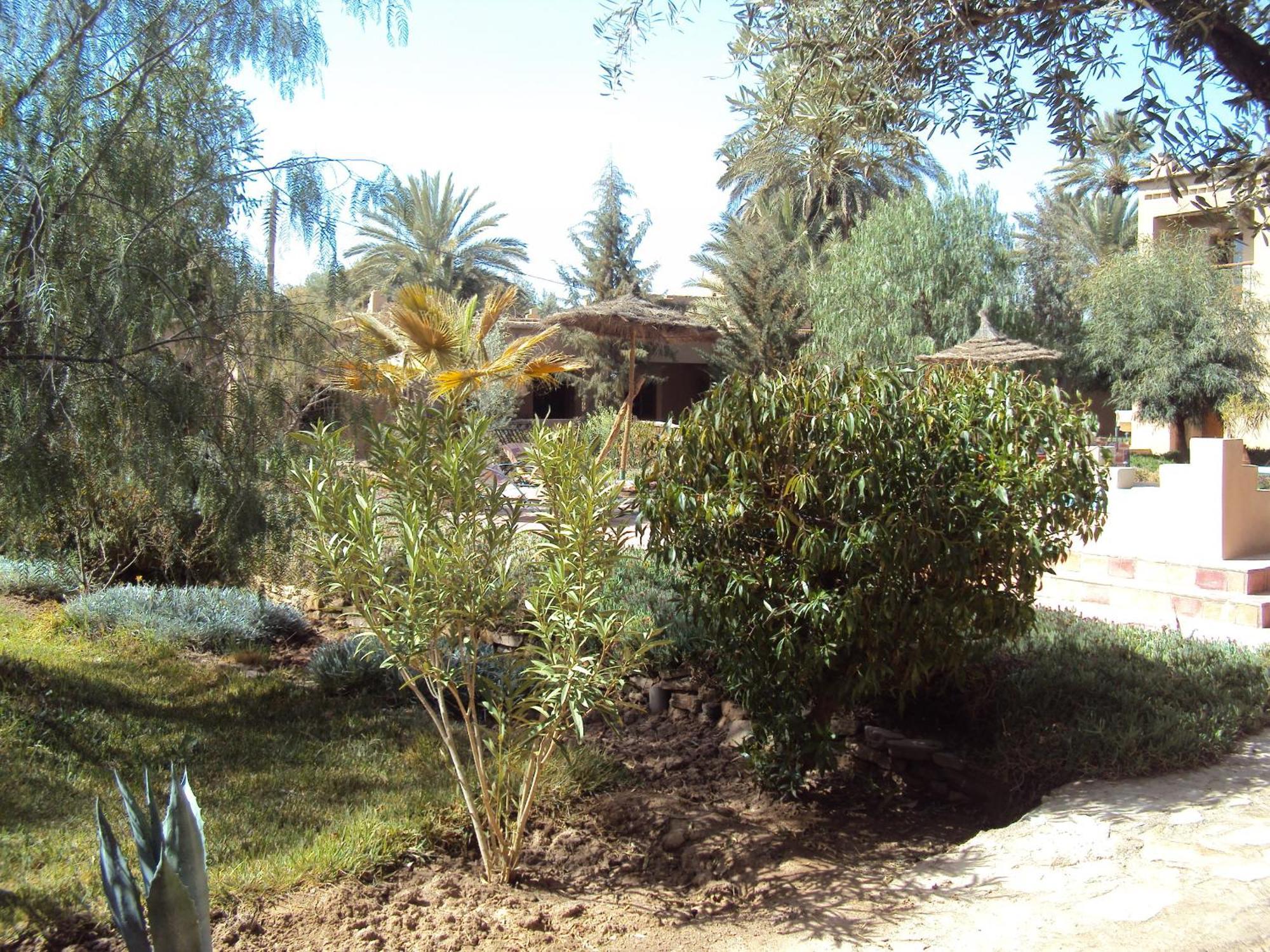 Bed and Breakfast Dar Lorkam Скура Екстер'єр фото
