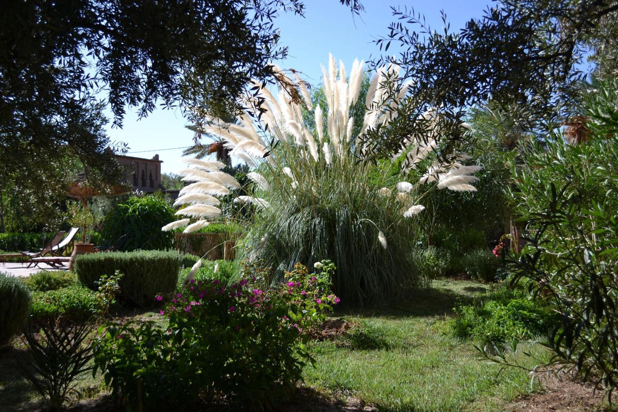 Bed and Breakfast Dar Lorkam Скура Екстер'єр фото