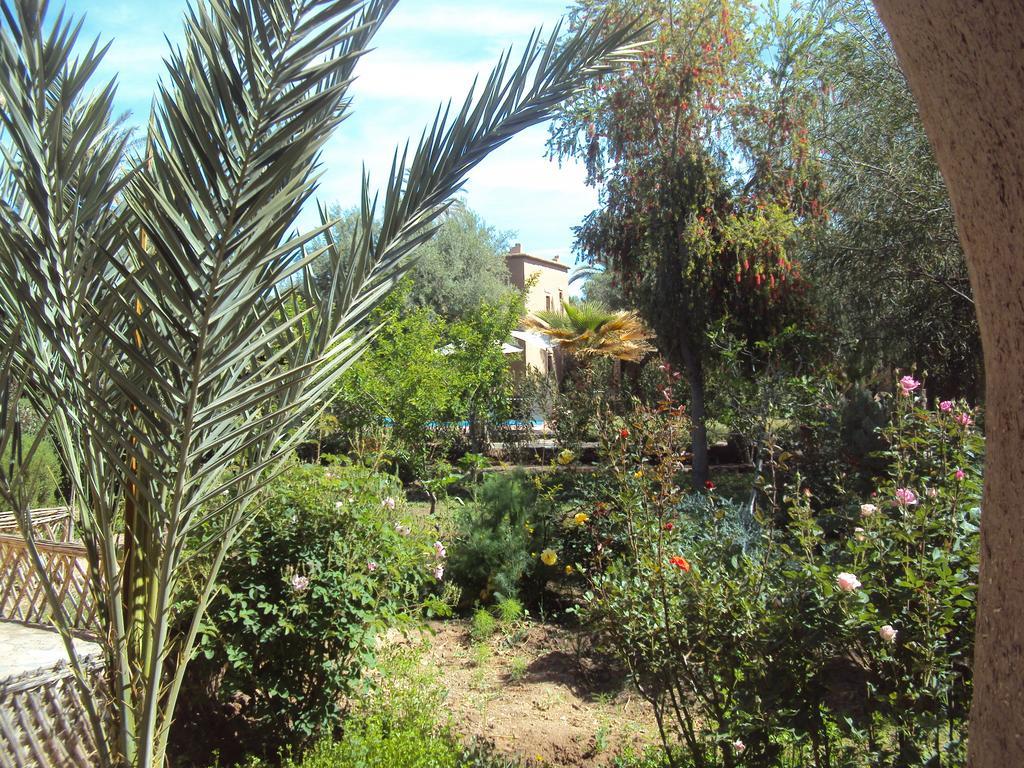 Bed and Breakfast Dar Lorkam Скура Екстер'єр фото