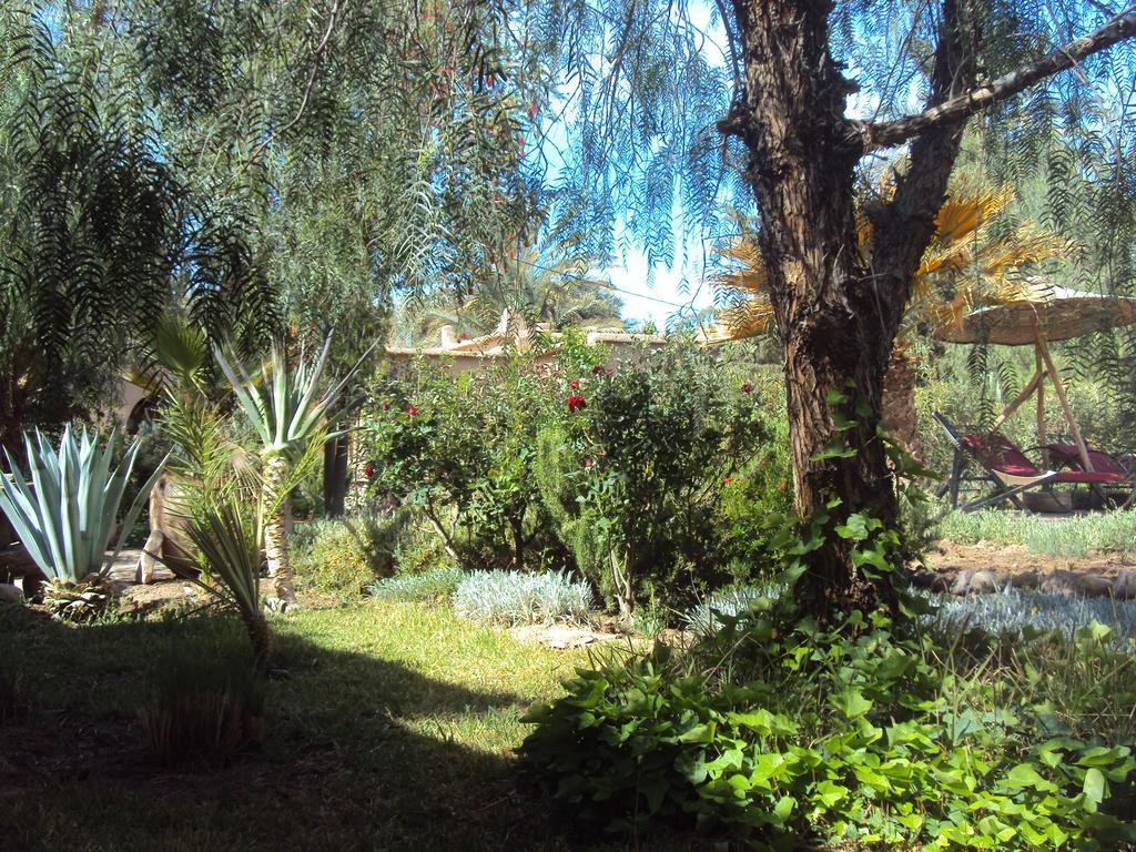 Bed and Breakfast Dar Lorkam Скура Екстер'єр фото